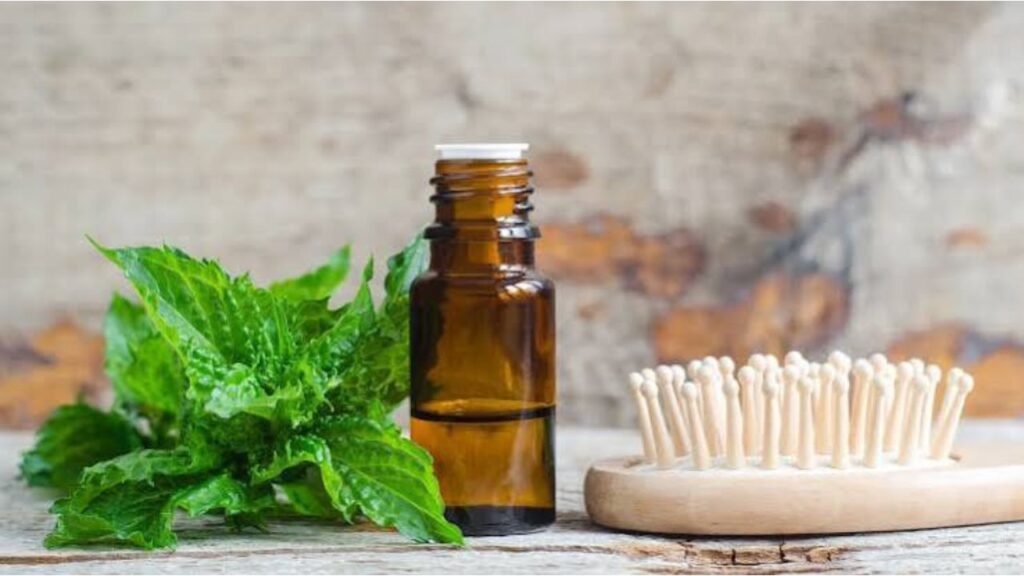 10 Natural Remedies to Stop Monsoon Hair Fall (That Actually Work)